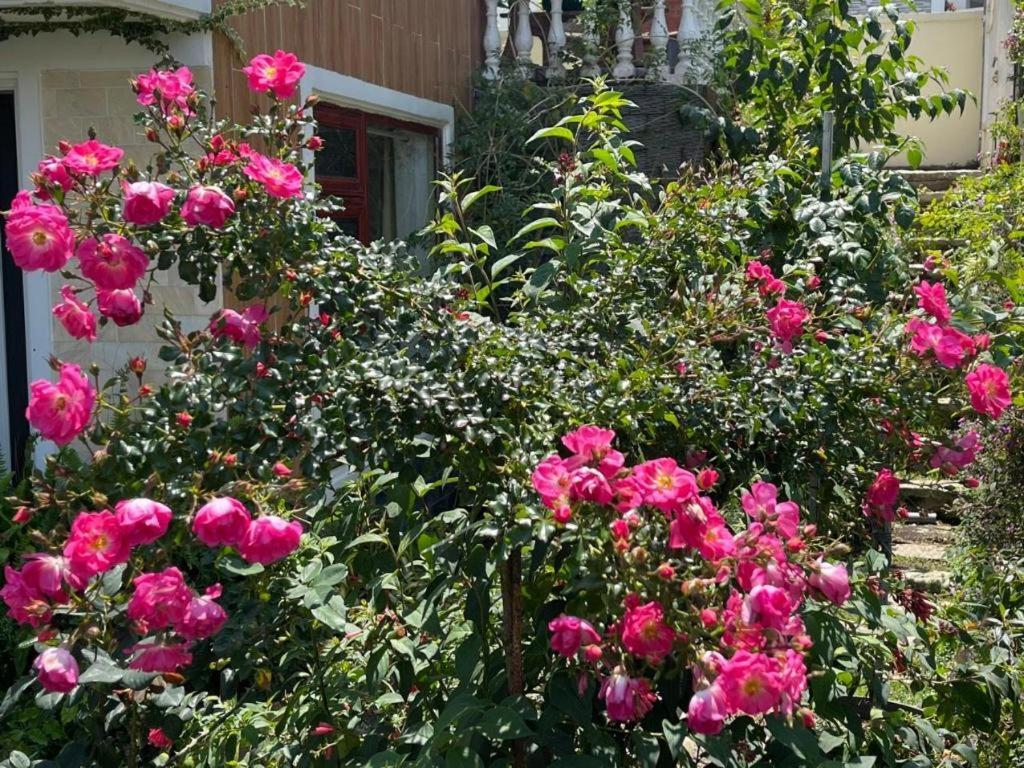 La Roza Dalat Boutique Hotel Kültér fotó