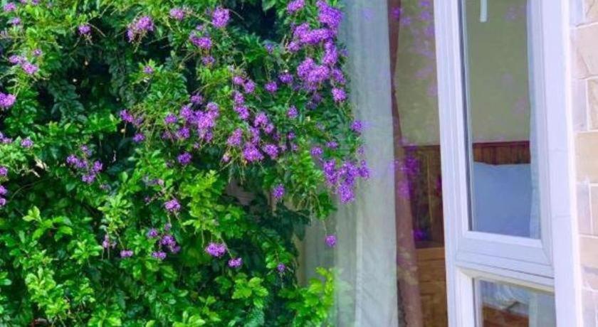 La Roza Dalat Boutique Hotel Kültér fotó
