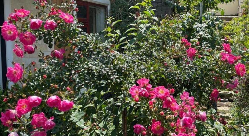 La Roza Dalat Boutique Hotel Kültér fotó