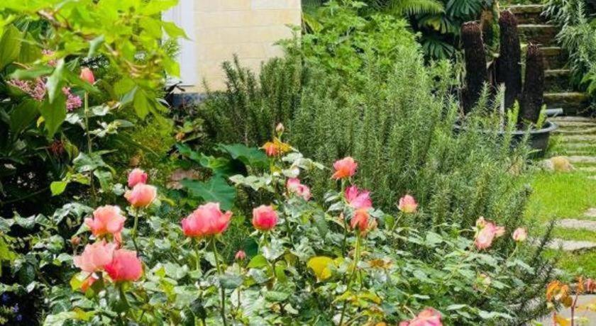 La Roza Dalat Boutique Hotel Kültér fotó