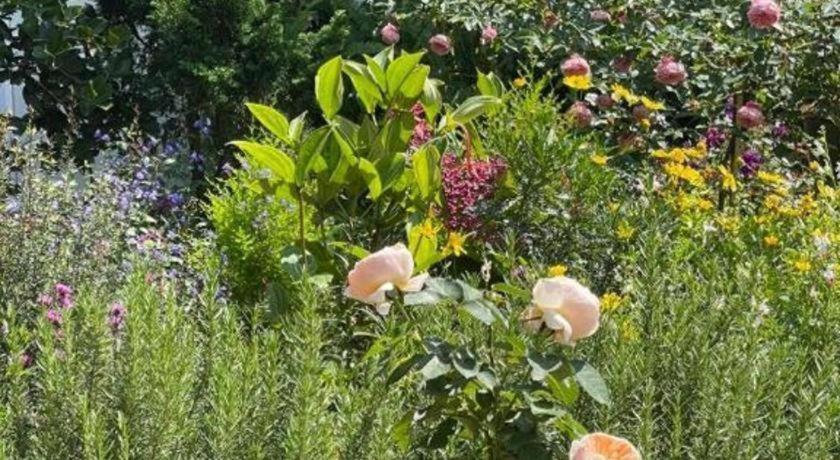 La Roza Dalat Boutique Hotel Kültér fotó